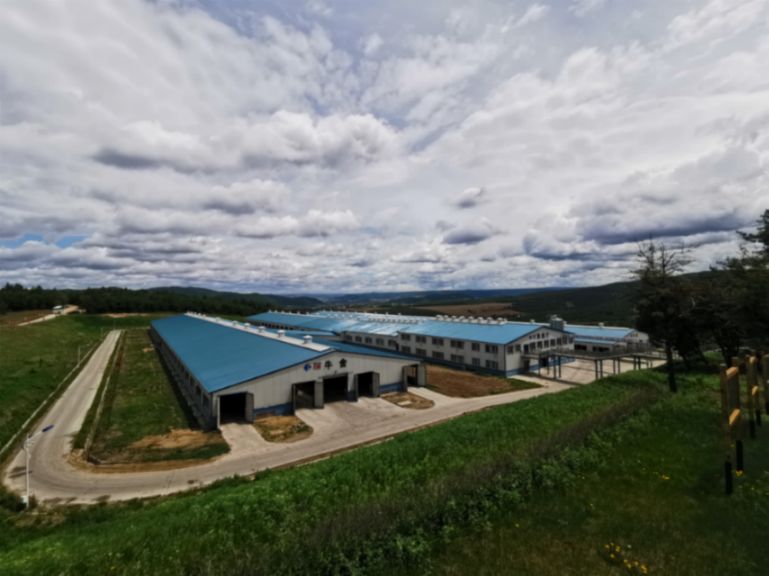 5d5a1f35540d0.jpg news19018-2.jpg