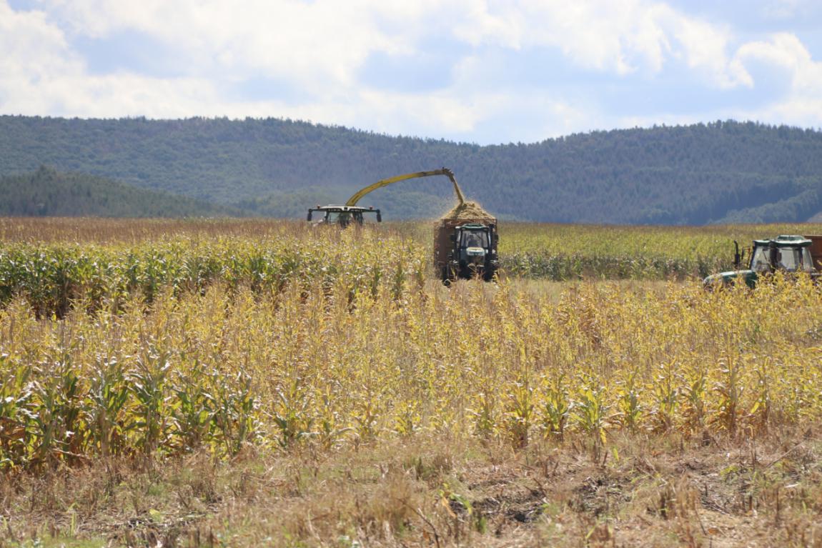 5d8c5de870512.jpg news19029-5.jpg