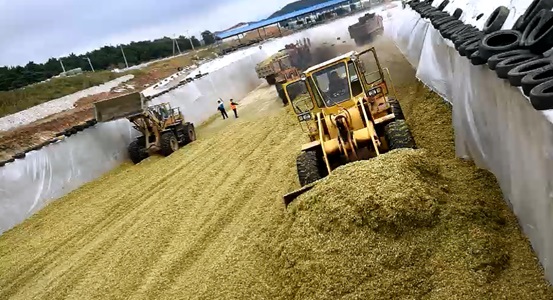 5dafb89d55656.jpg 4.jpg