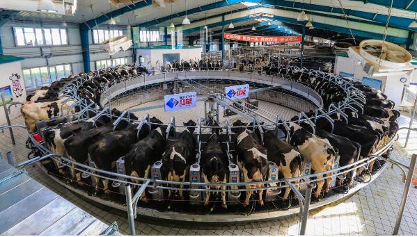 5dbd826813412.jpg 4.jpg