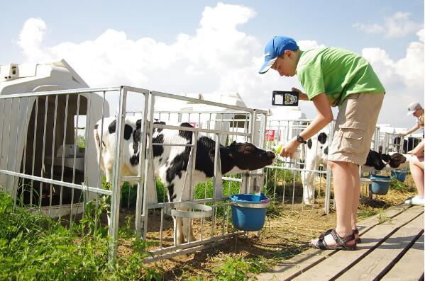 5dbd9e41c0011.jpg 7.jpg