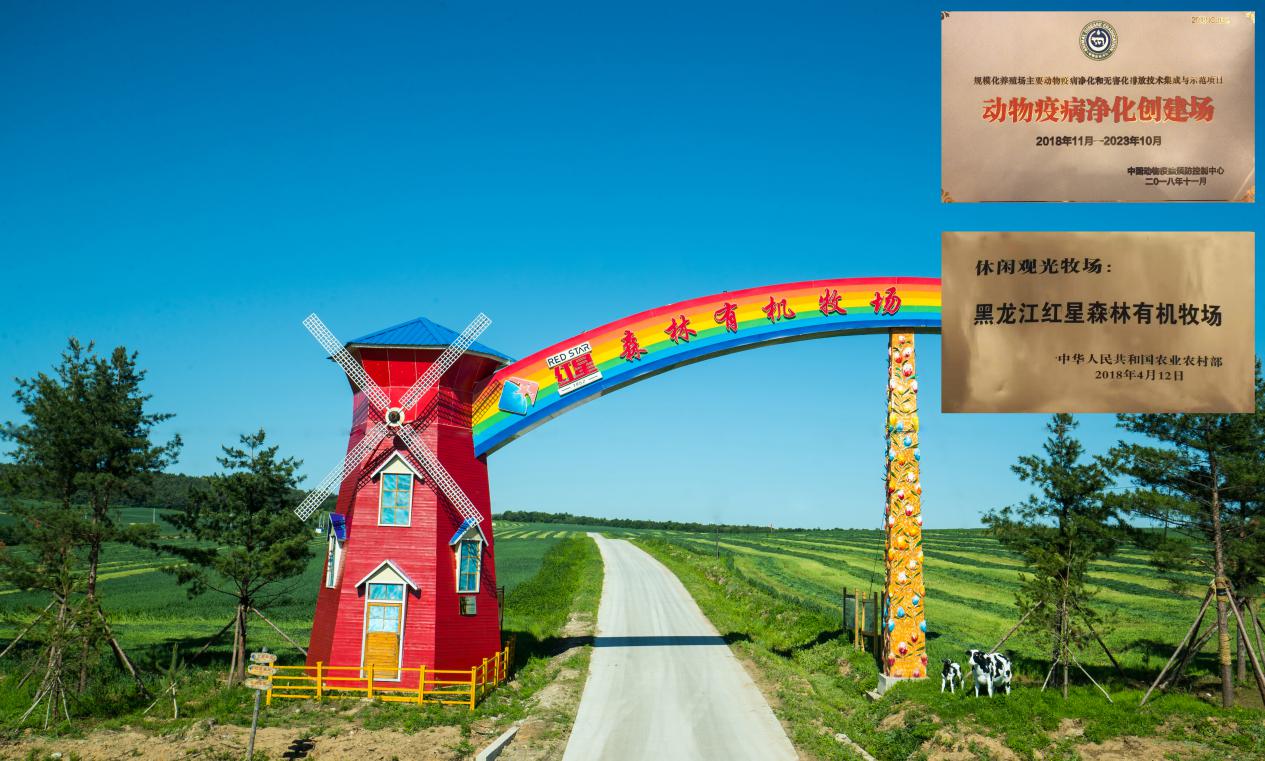 5dea21e47bd51.jpg 7.jpg