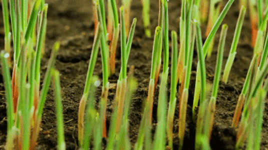 610cf22ea9f9b.png 微信圖片_20210806162542.png