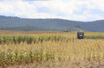 6143efc60d131.png 微信圖片_20210917093026.png